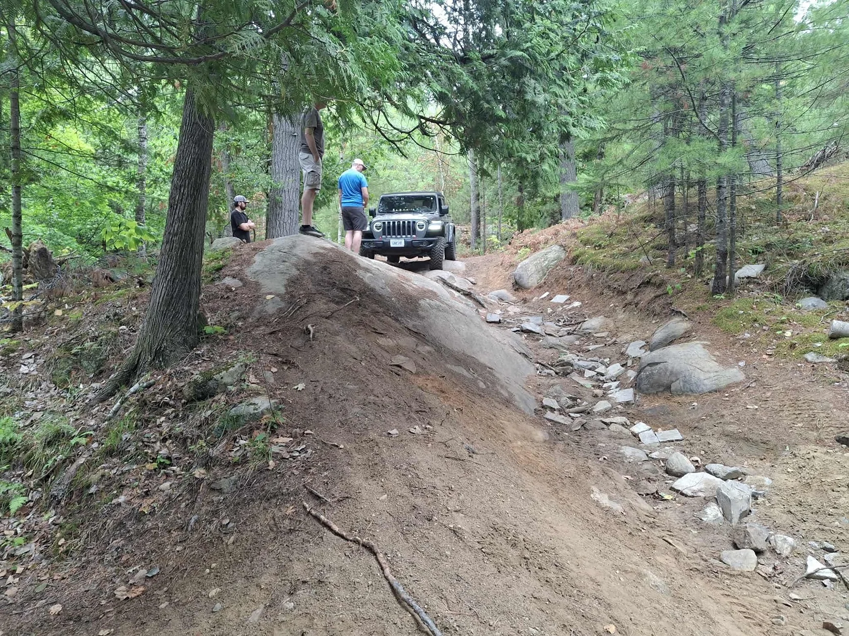 Jeep Gladiator What did you do WITH your Gladiator today? c4ad2de611f0baded7e47039963b24f