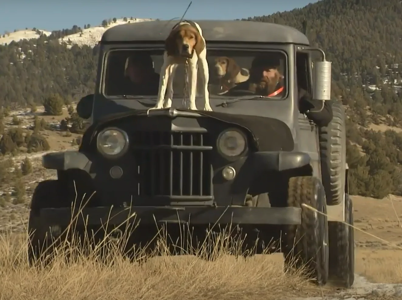 Jeep Gladiator What did you do TO your Gladiator today? [ADMIN WARNING: NO POLITICS, NO GUN TALK] 1756331079938-4o