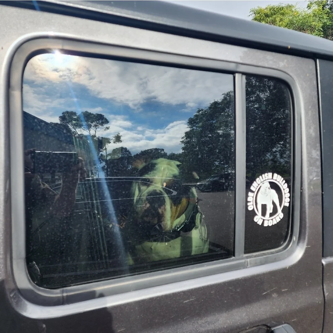 Jeep Gladiator Let’s see your pets cause they are the best companion you can have!!!!! Screenshot_20250827_193605_Fi
