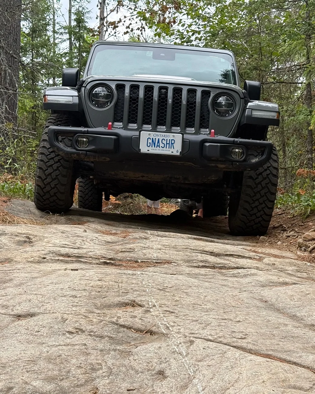 Jeep Gladiator STING GRAY Gladiator JT Club IMG_7725