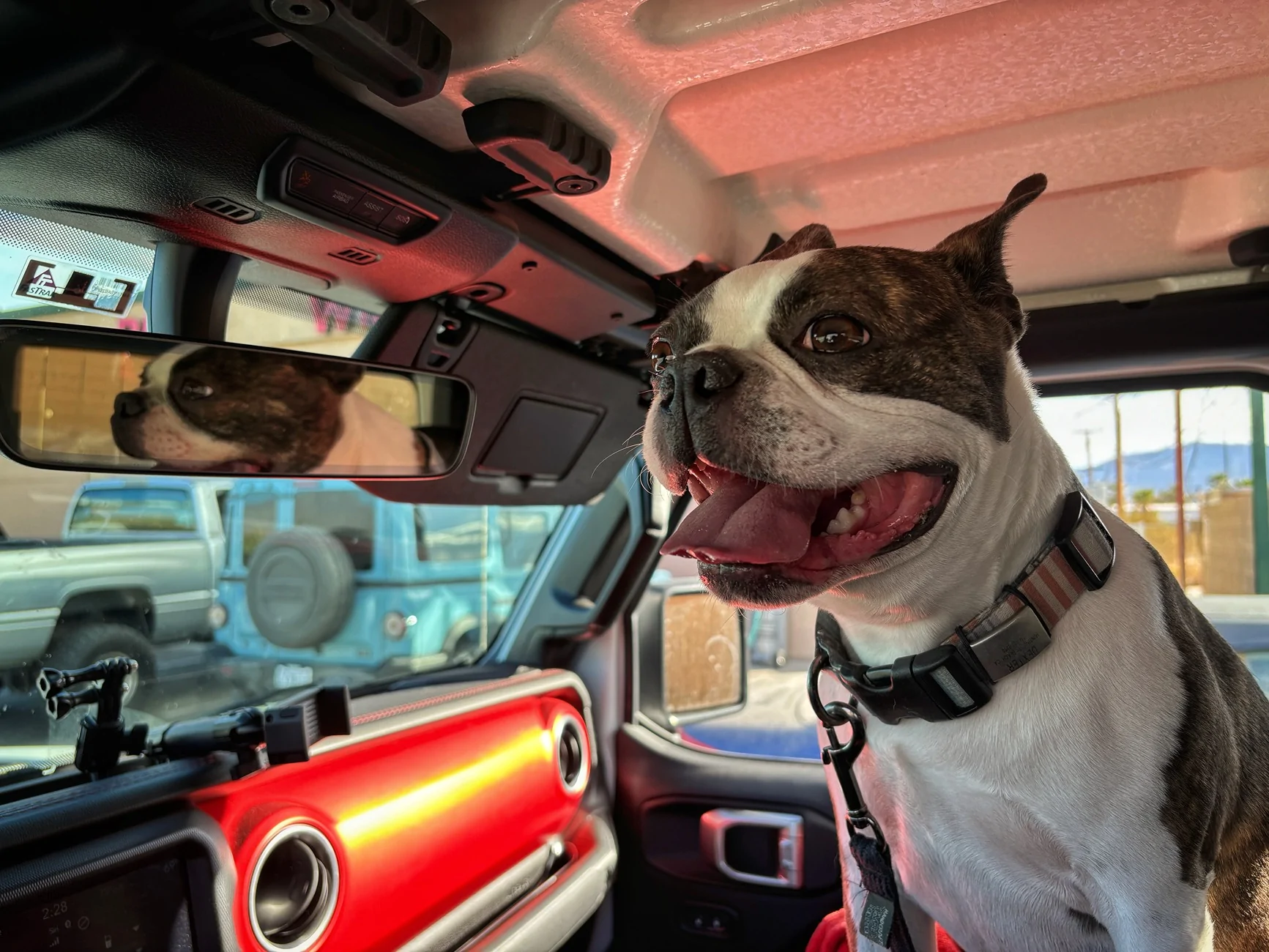Jeep Gladiator Let’s see your pets cause they are the best companion you can have!!!!! IMG_2797