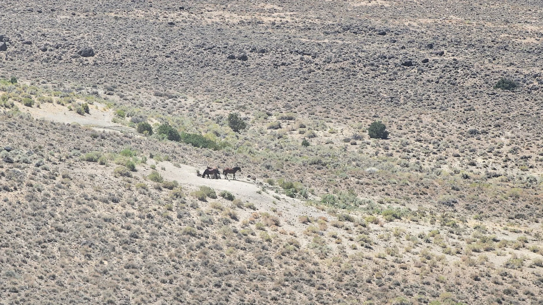Jeep Gladiator End of Summer, Start of Trail Season – Share Your Photos! 20250810_125638