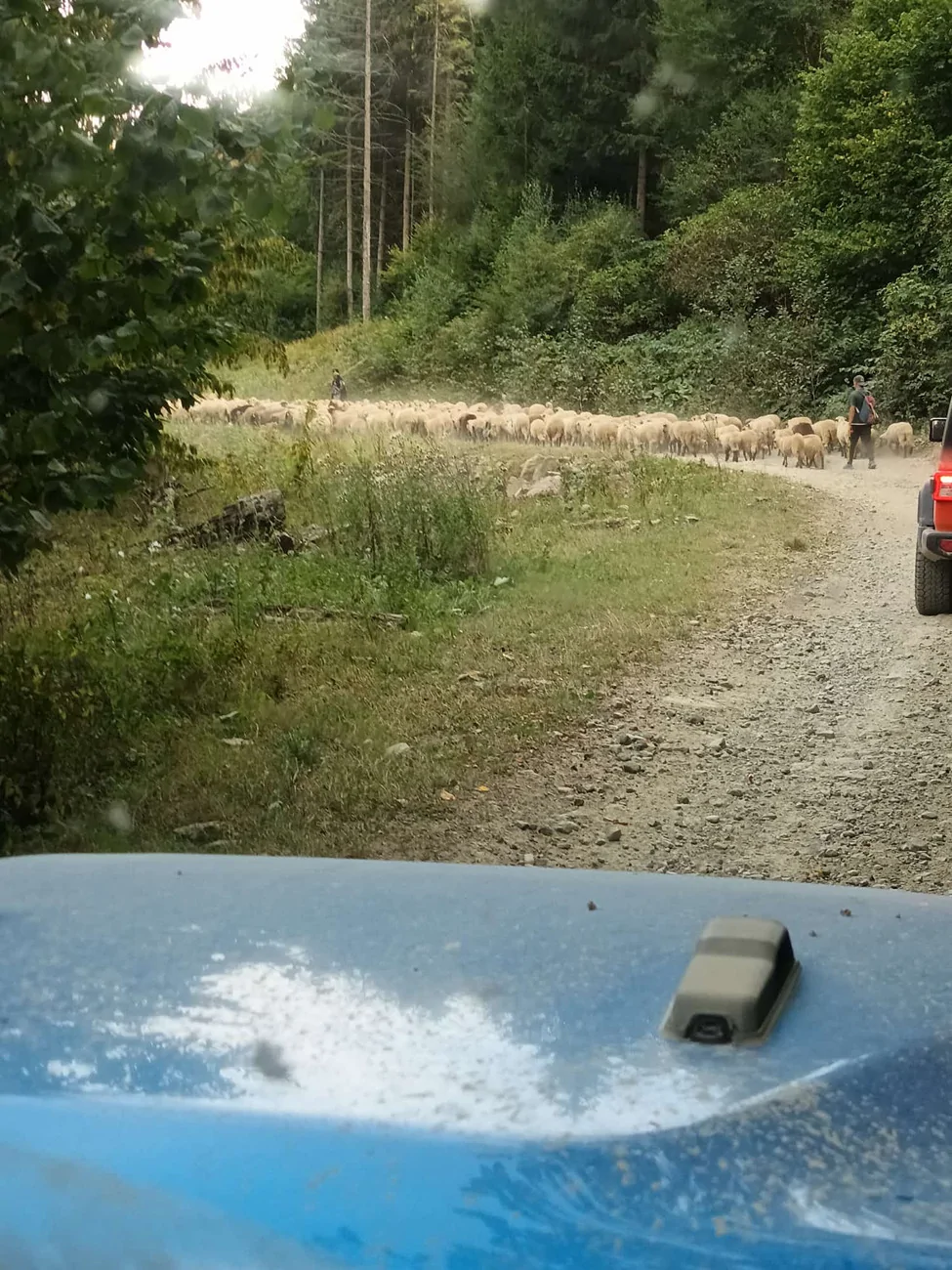 Jeep Gladiator End of Summer, Start of Trail Season – Share Your Photos! WhatsApp Bild 2025-09-06 um 20.34.56_a6122620