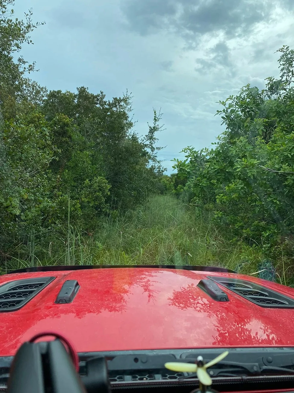 Jeep Gladiator End of Summer, Start of Trail Season – Share Your Photos! Jeep3