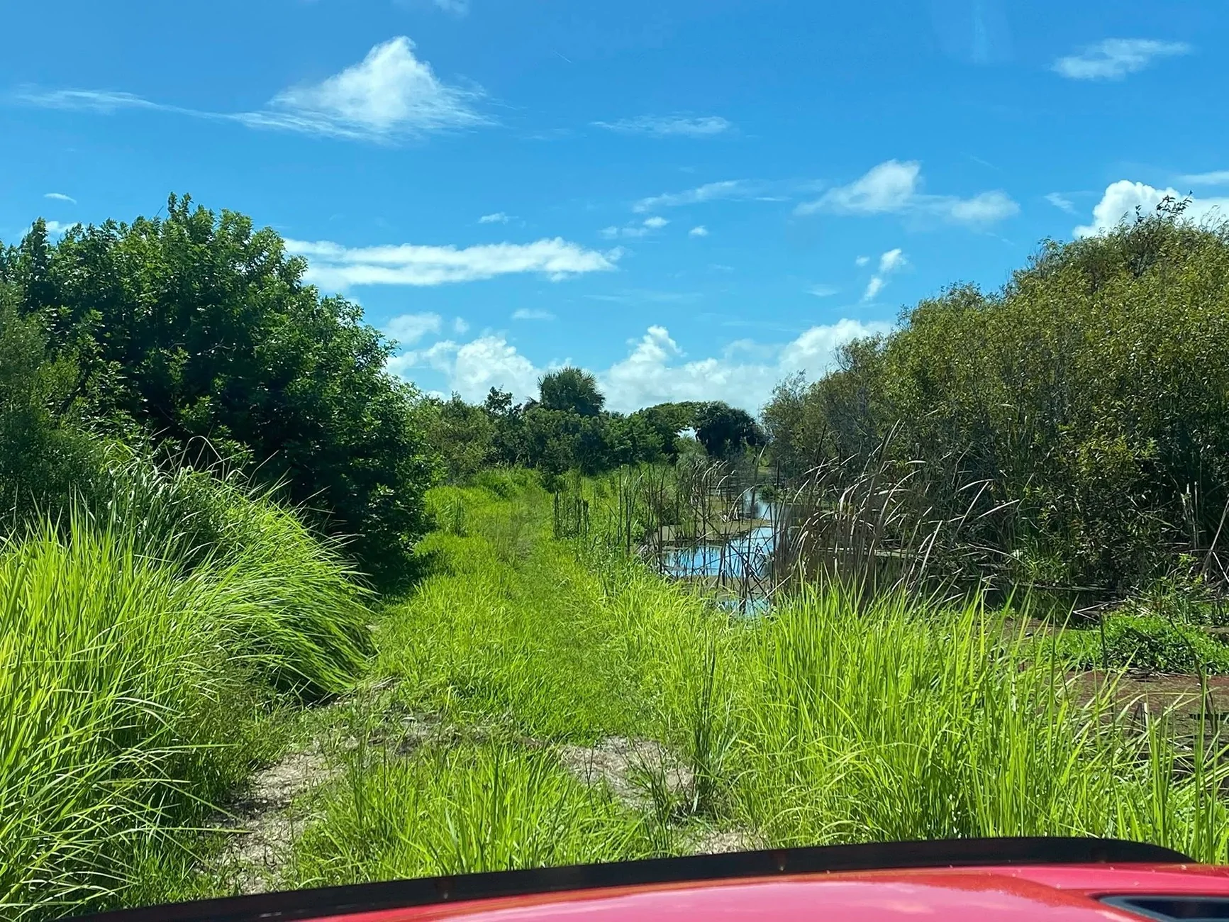 Jeep Gladiator End of Summer, Start of Trail Season – Share Your Photos! Jeep2