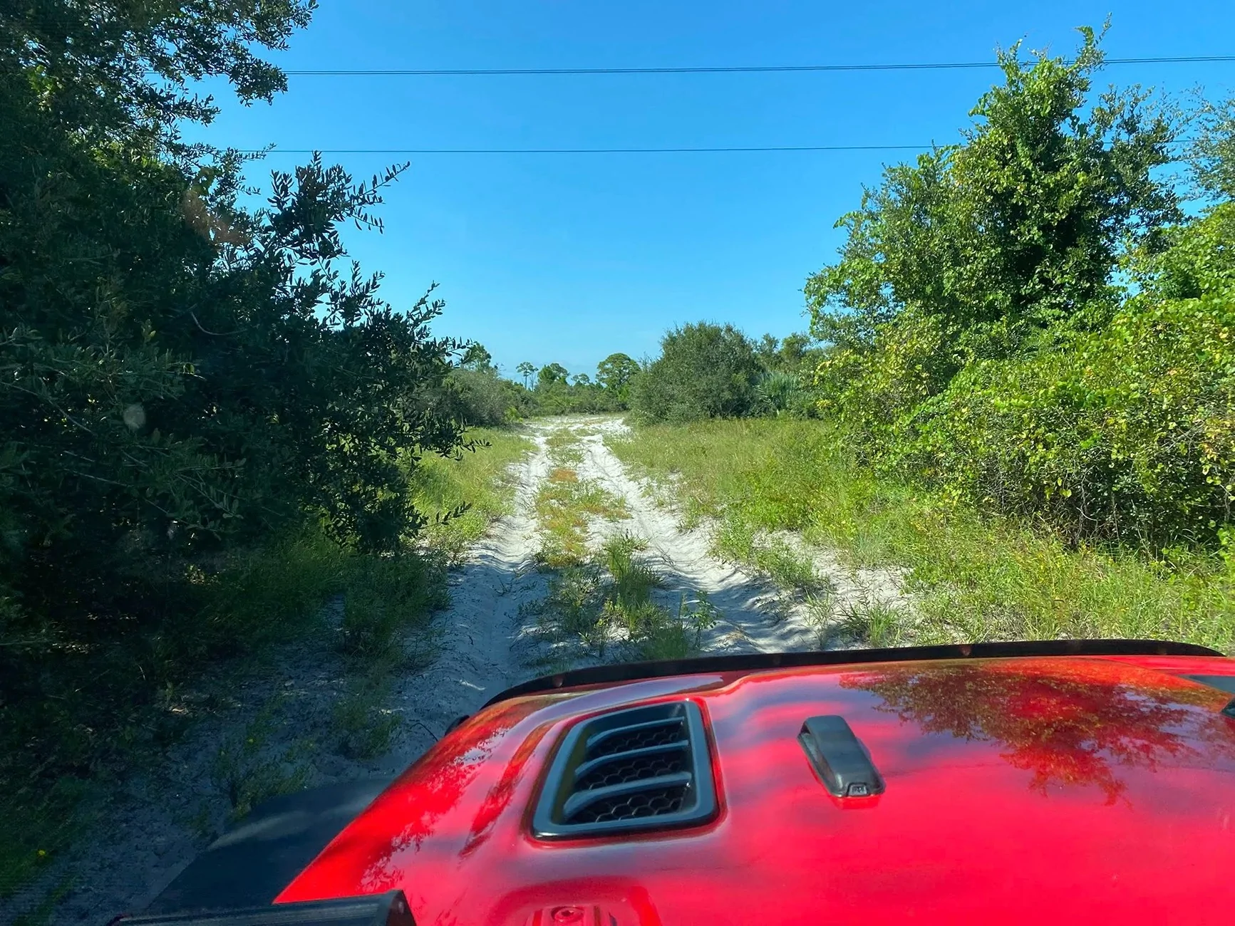 Jeep Gladiator End of Summer, Start of Trail Season – Share Your Photos! Jeep5