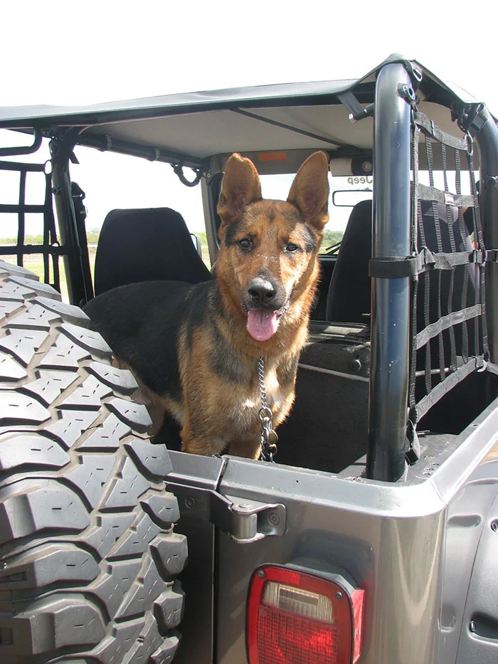 Jeep Gladiator Let’s see your pets cause they are the best companion you can have!!!!! kingstonj