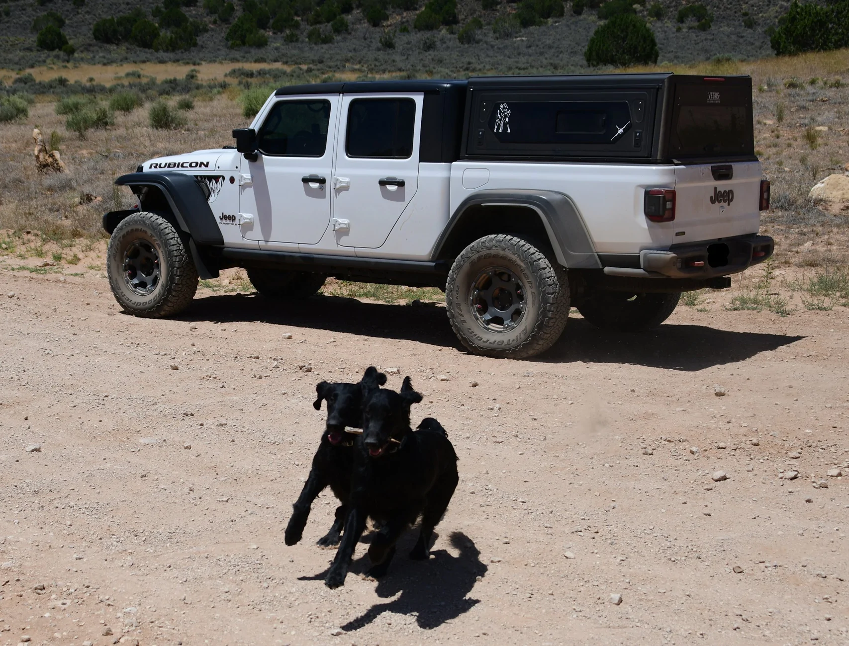 Jeep Gladiator Aftermarket Wheels - Post your Jeeps DSC_4136edit