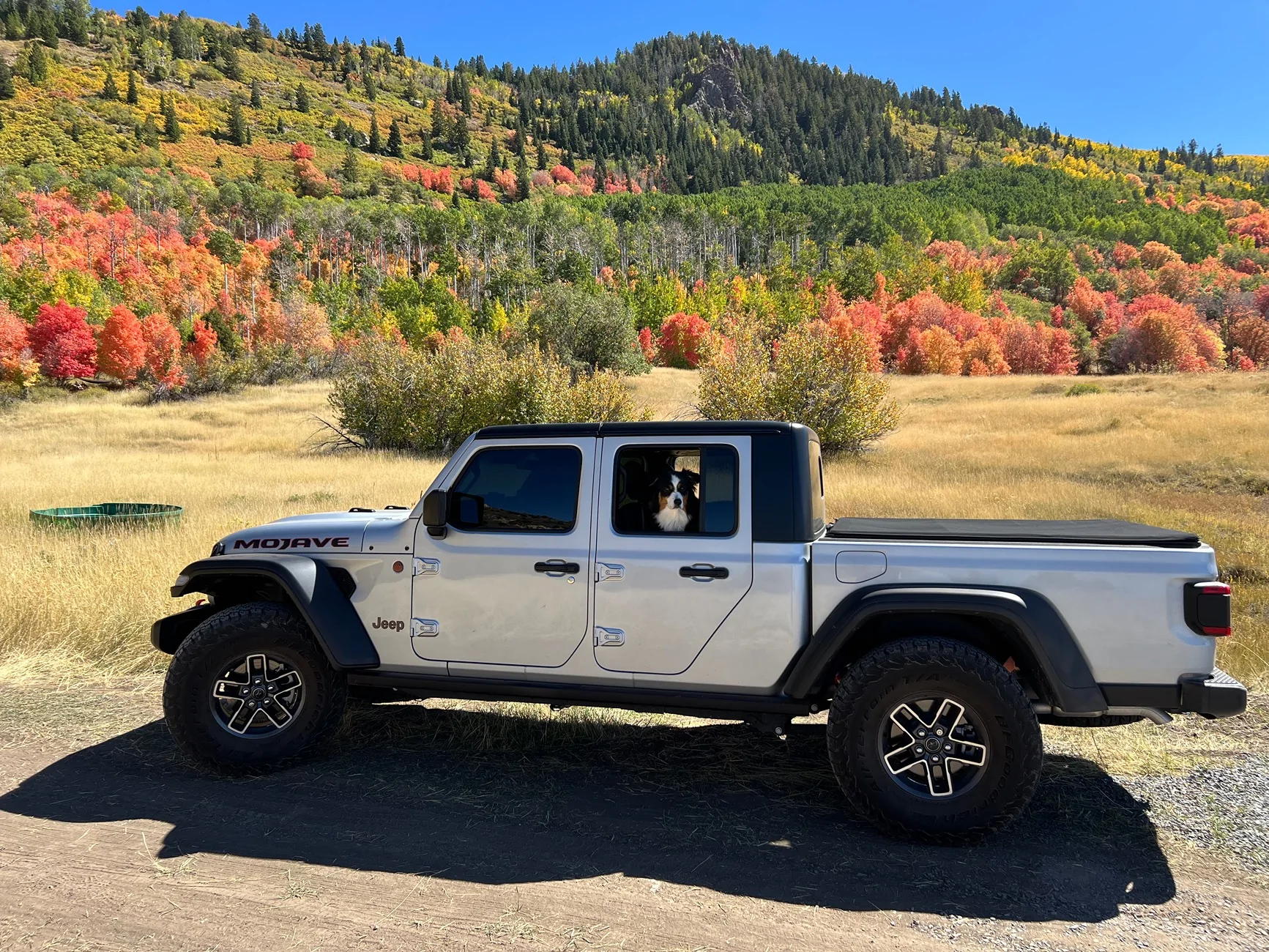 Jeep Gladiator What did you do WITH your Gladiator today? IMG_4166