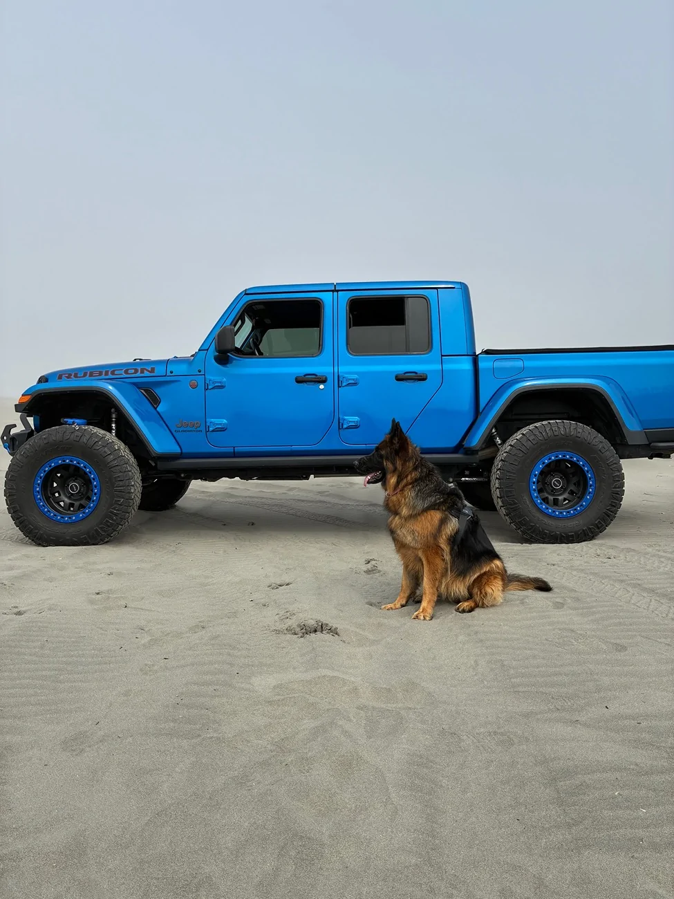 Jeep Gladiator Let’s see your pets cause they are the best companion you can have!!!!! IMG_0161