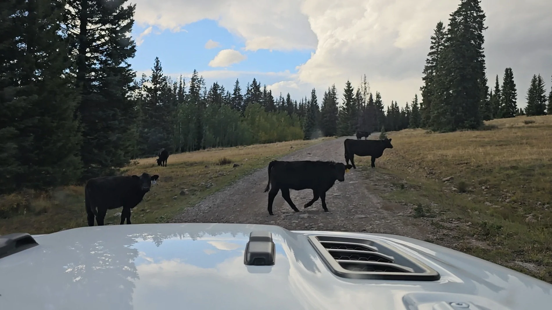 Jeep Gladiator JTdiRtyD ever changing build, trip reports, and BS thread 20250916_182404