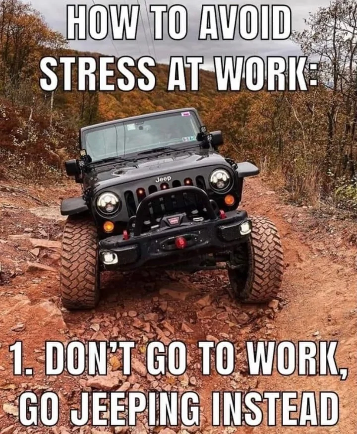 Jeep Gladiator Gladiator MEME’s 1000011182