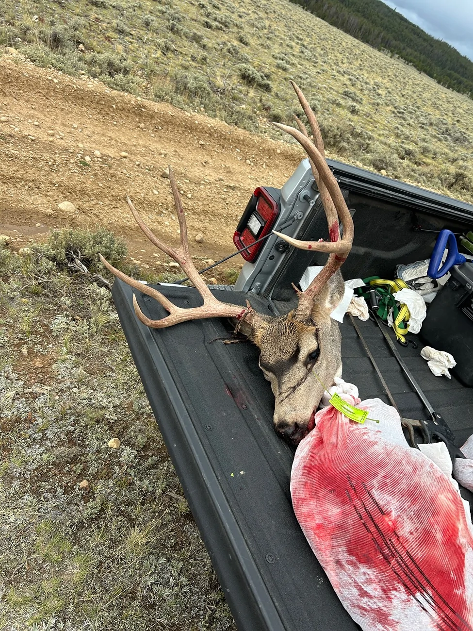 Jeep Gladiator 2025 Hunting IMG_1754