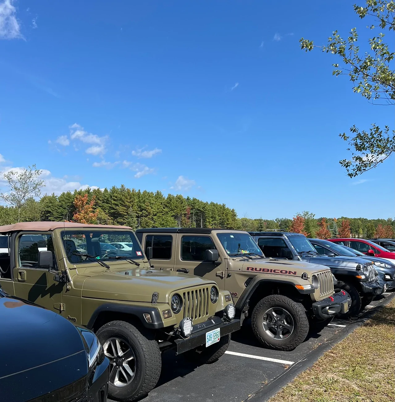 Jeep Gladiator Jeeps Parking Next To Jeeps FullSizeRender