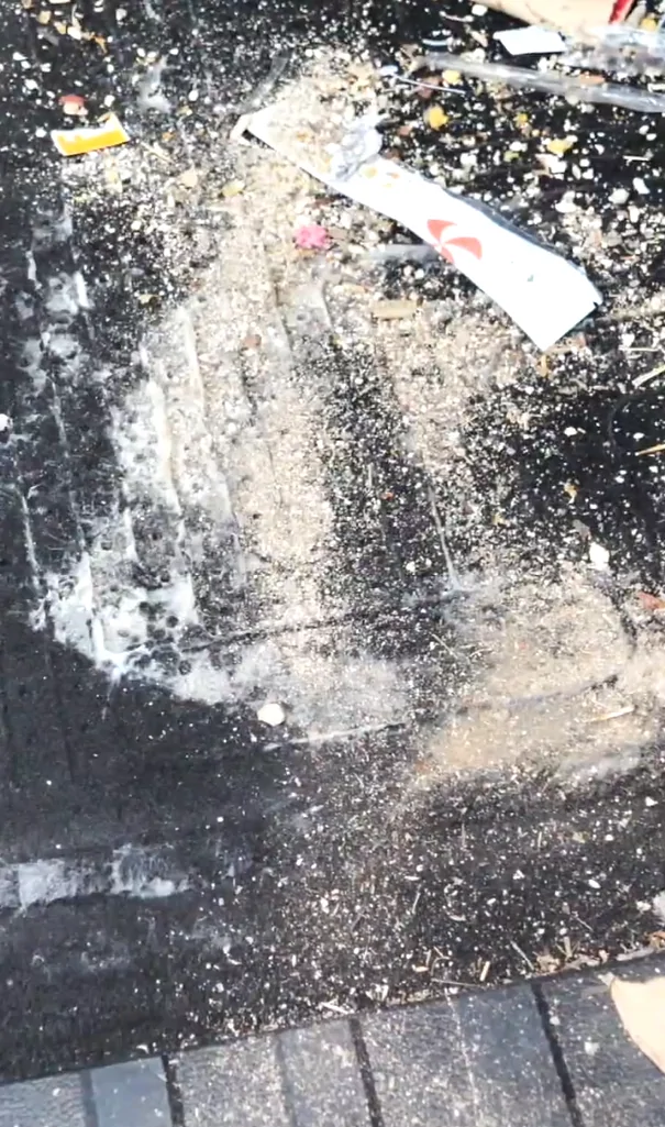1280X1280 (1).webp