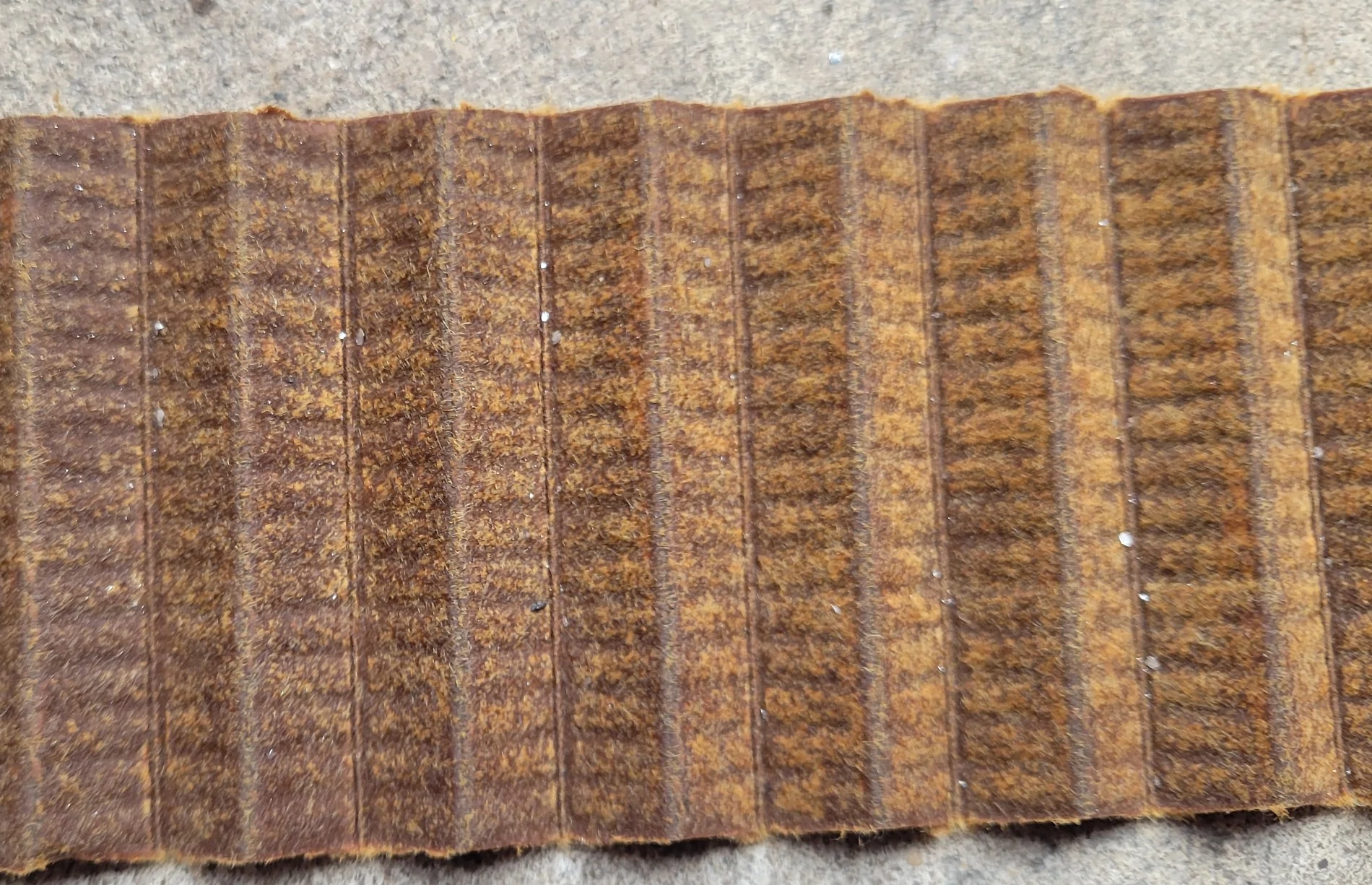 Jeep Gladiator How much Jeep glitter is too much Jeep glitter? Metal in oil filter. Precision Parts PPG2500 10-8-25 (9)