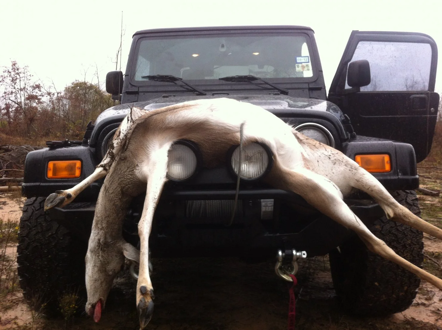 Jeep Gladiator 🎃 Yarr deer