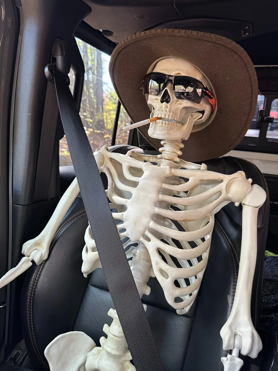 Jeep Gladiator 🎃 Yarr IMG_2860