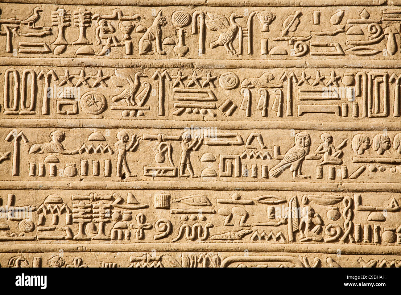 Jeep Gladiator Post up your oil analysis. egypt-hieroglyphics-carved-into-wall-of-temple-of-horus-and-sobek-C9DHAH-4283216693