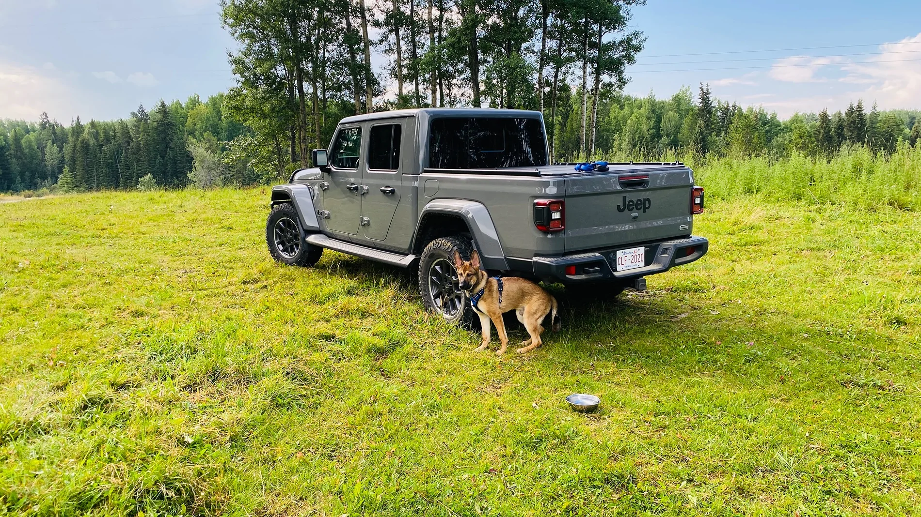 Jeep Gladiator Let’s see your pets cause they are the best companion you can have!!!!! IMG_0200