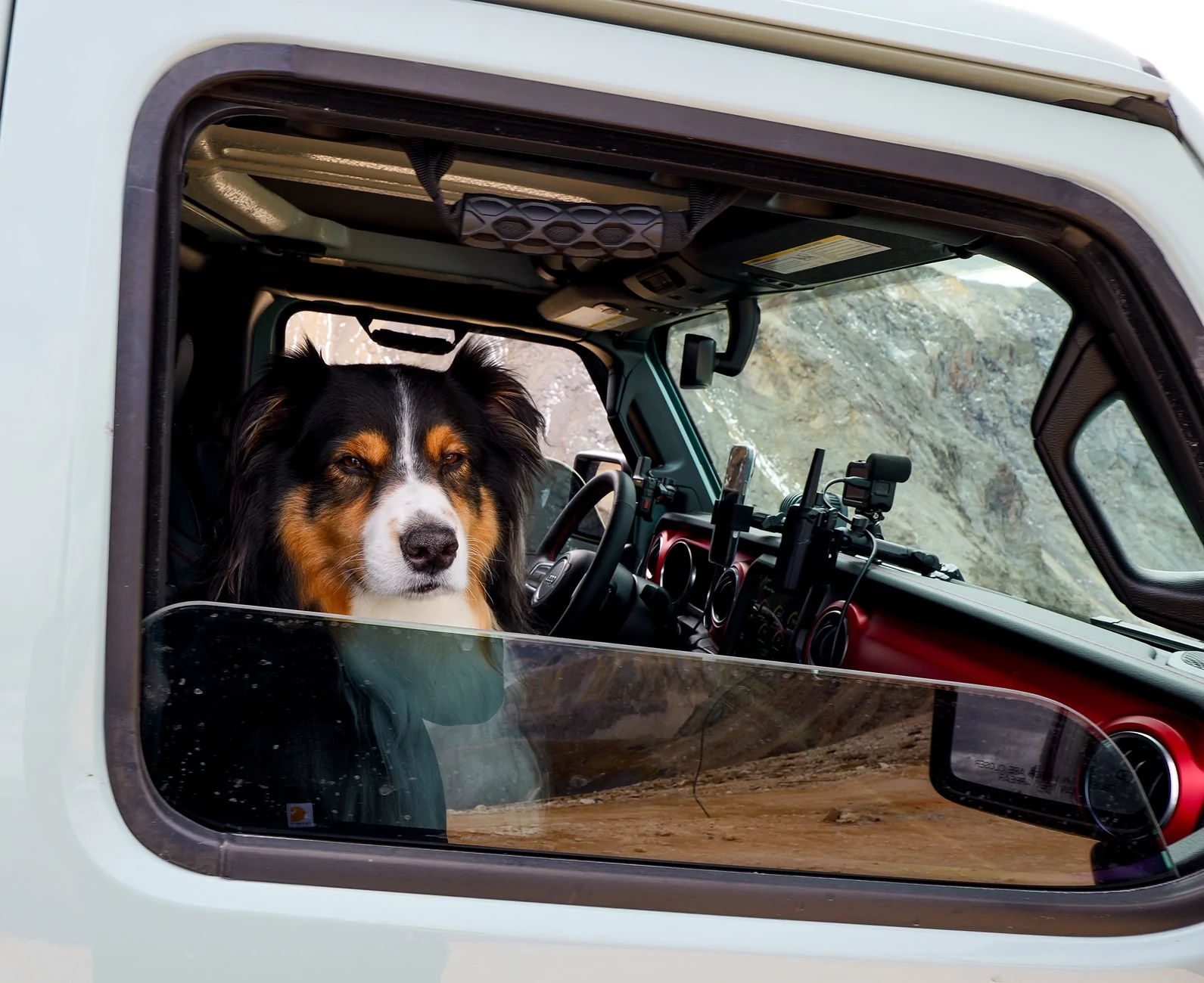 Jeep Gladiator Let’s see your pets cause they are the best companion you can have!!!!! P1011227