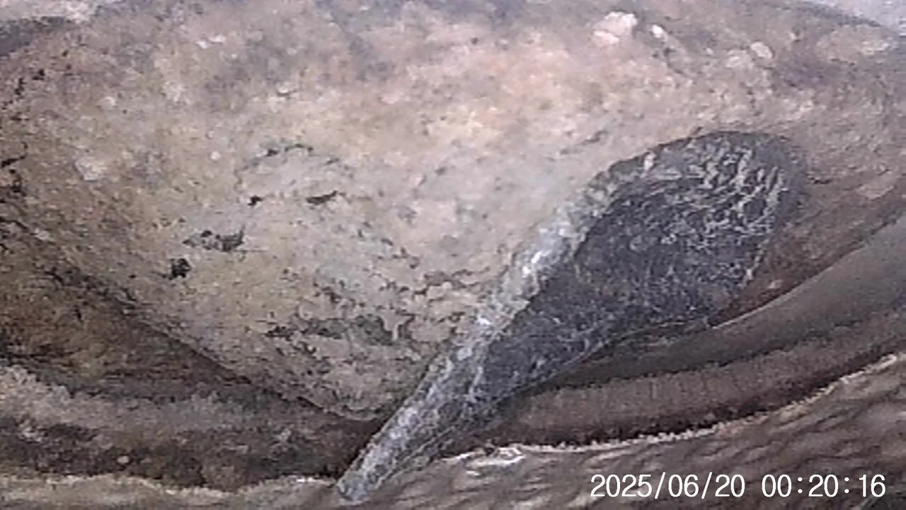 Jeep Gladiator Has anyone ever seen this happen before?  My AC drain MELTED. IMG00009