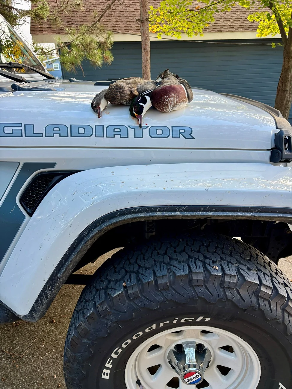 Jeep Gladiator Gun guys (and gals) Wood ducks and j