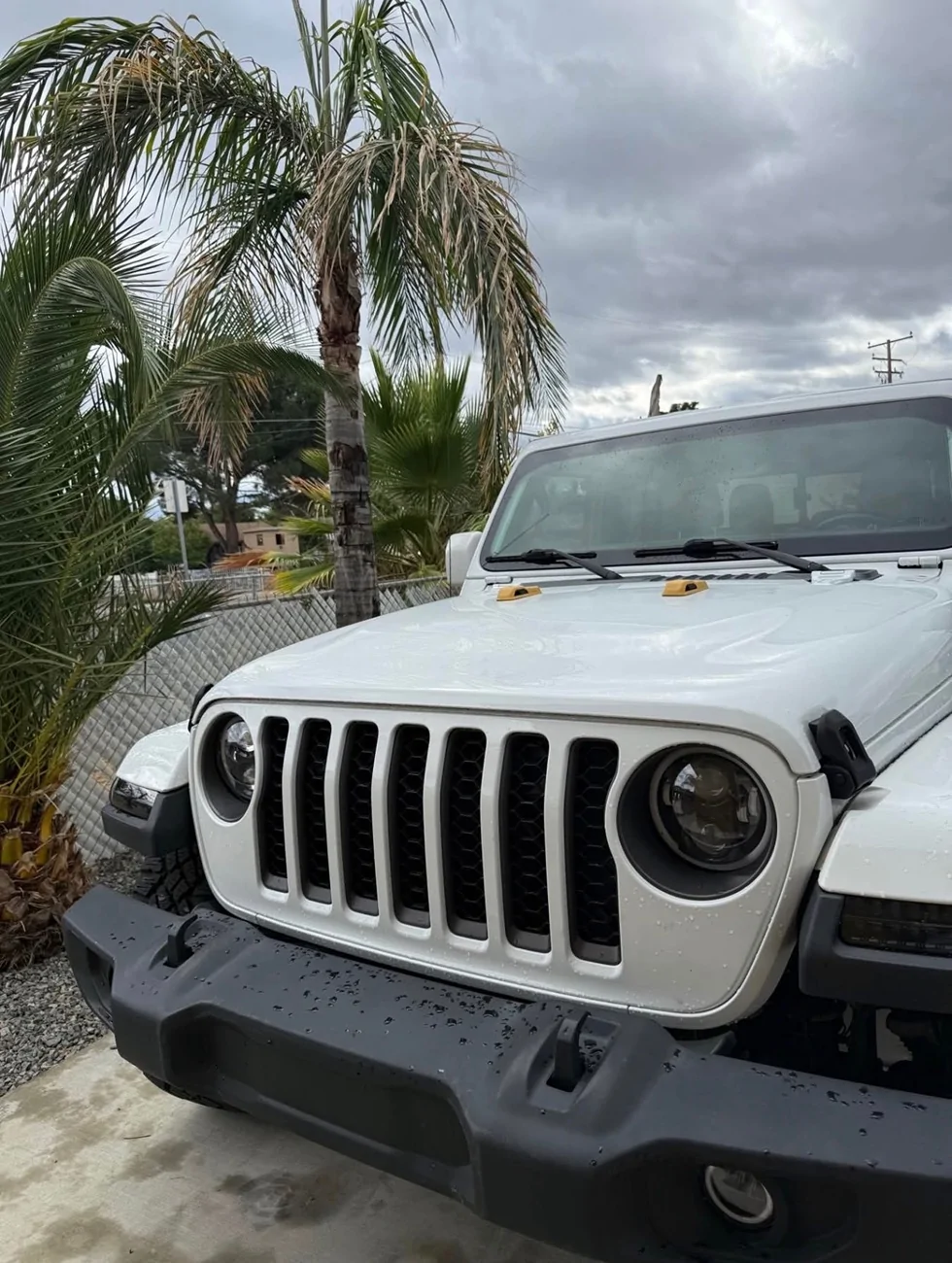 Jeep Gladiator Cool Daily Random JT Gladiator Pics -- Post Em! 📸 IMG_9332