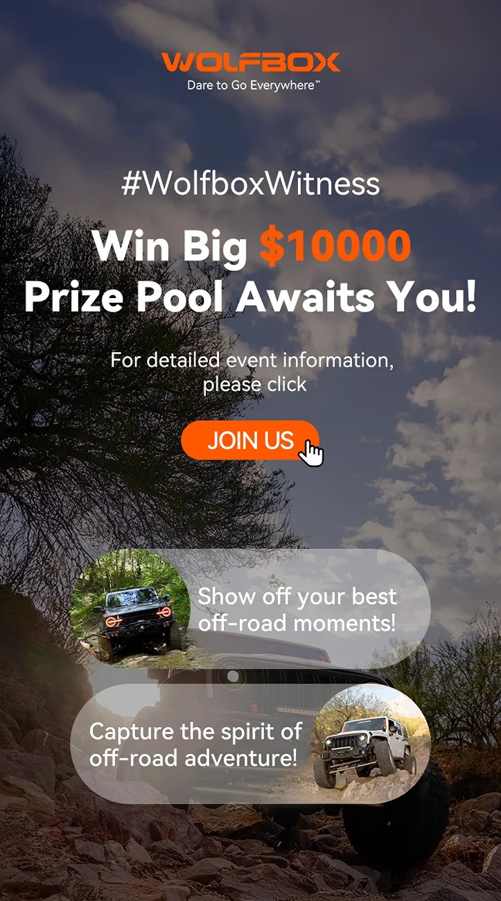 WolfboxWitness Contest.webp