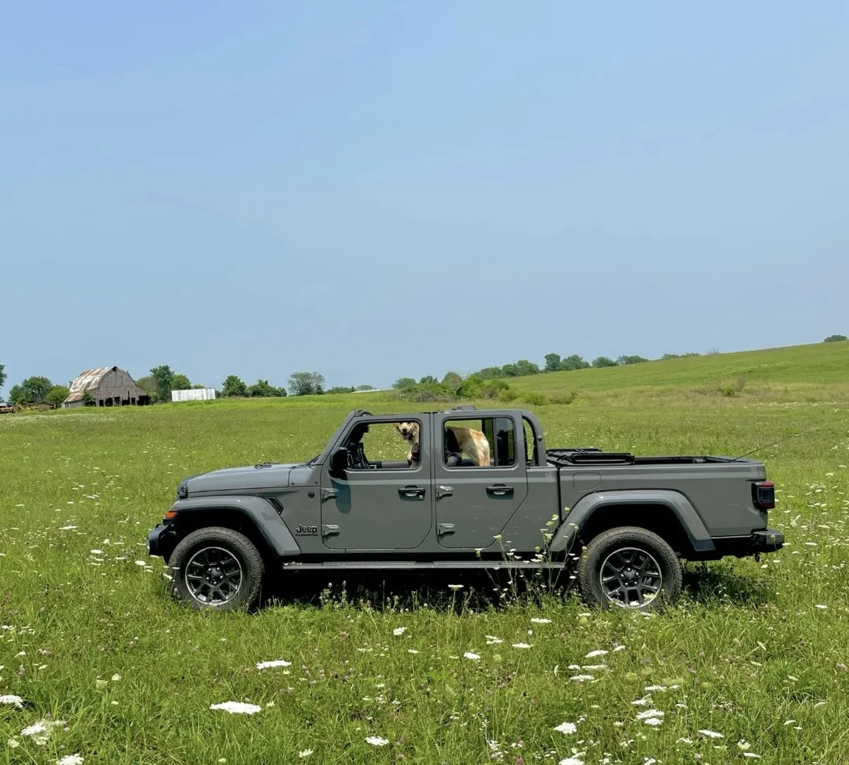 Jeep Gladiator Cool Daily Random JT Gladiator Pics -- Post Em! 📸 IMG_1245