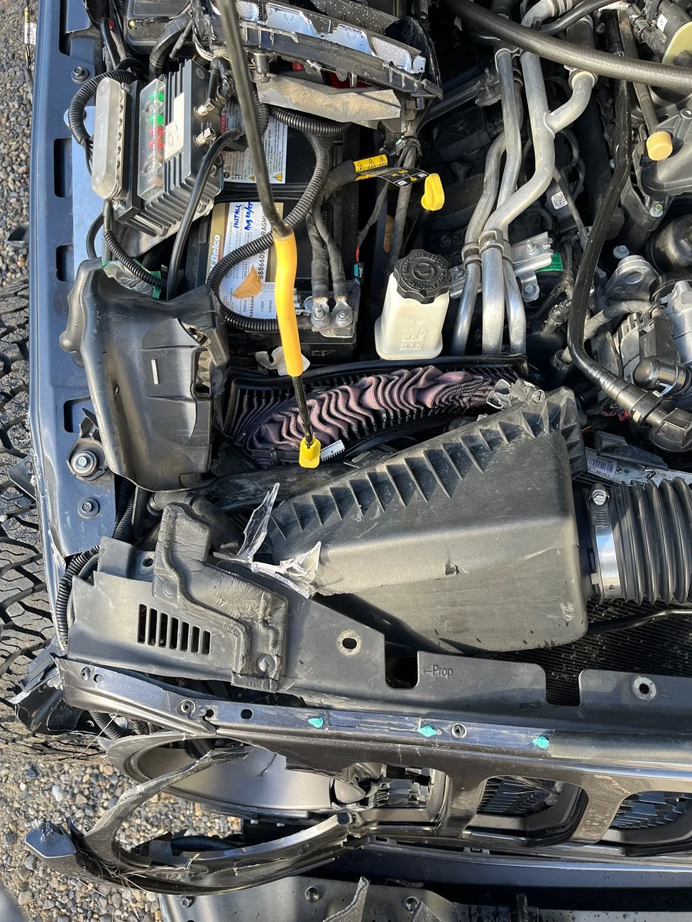 Jeep Gladiator Smoked a Moose IMG_5392