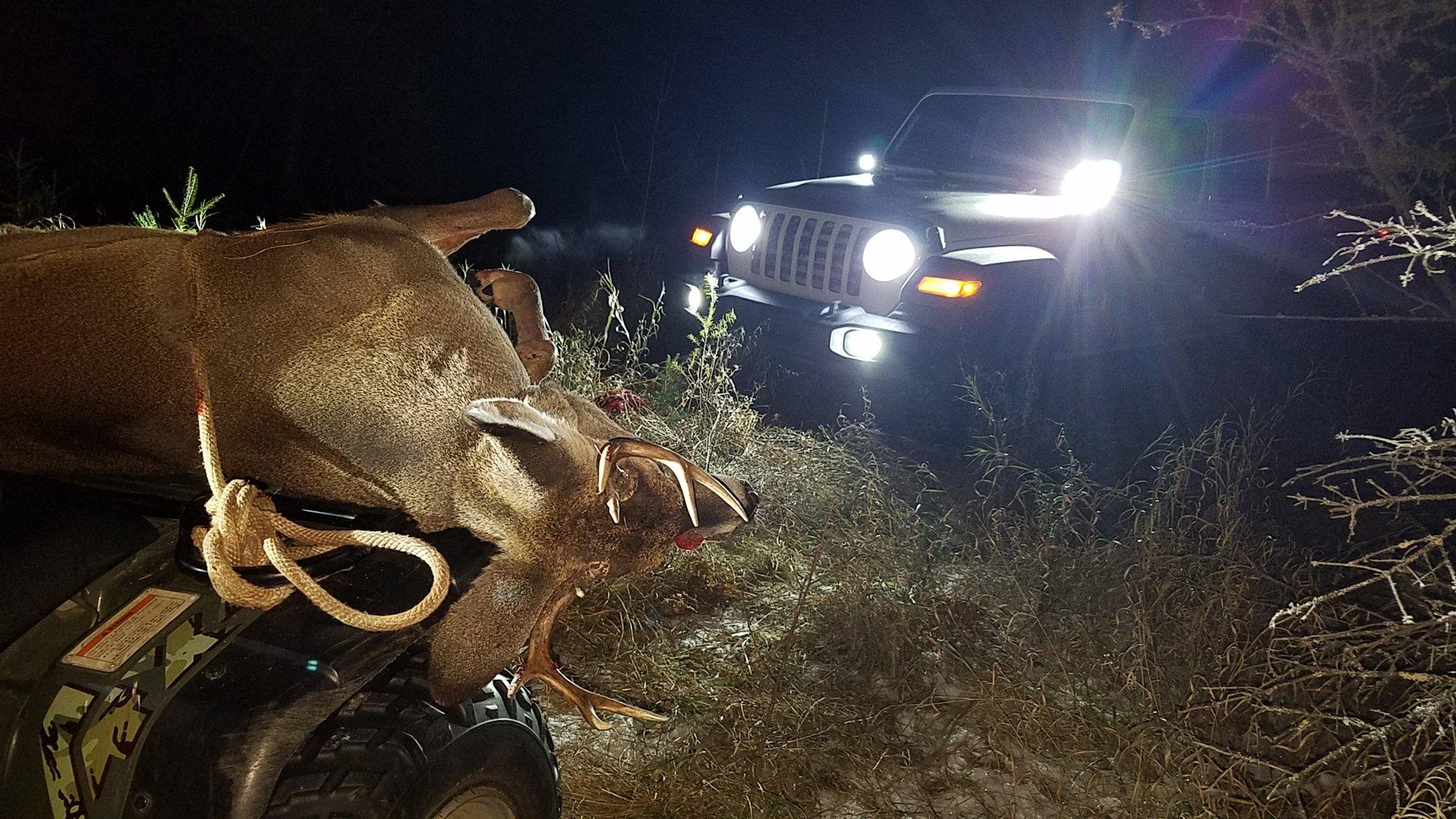 Jeep Gladiator What did you do WITH your Gladiator today? 20191115_174512