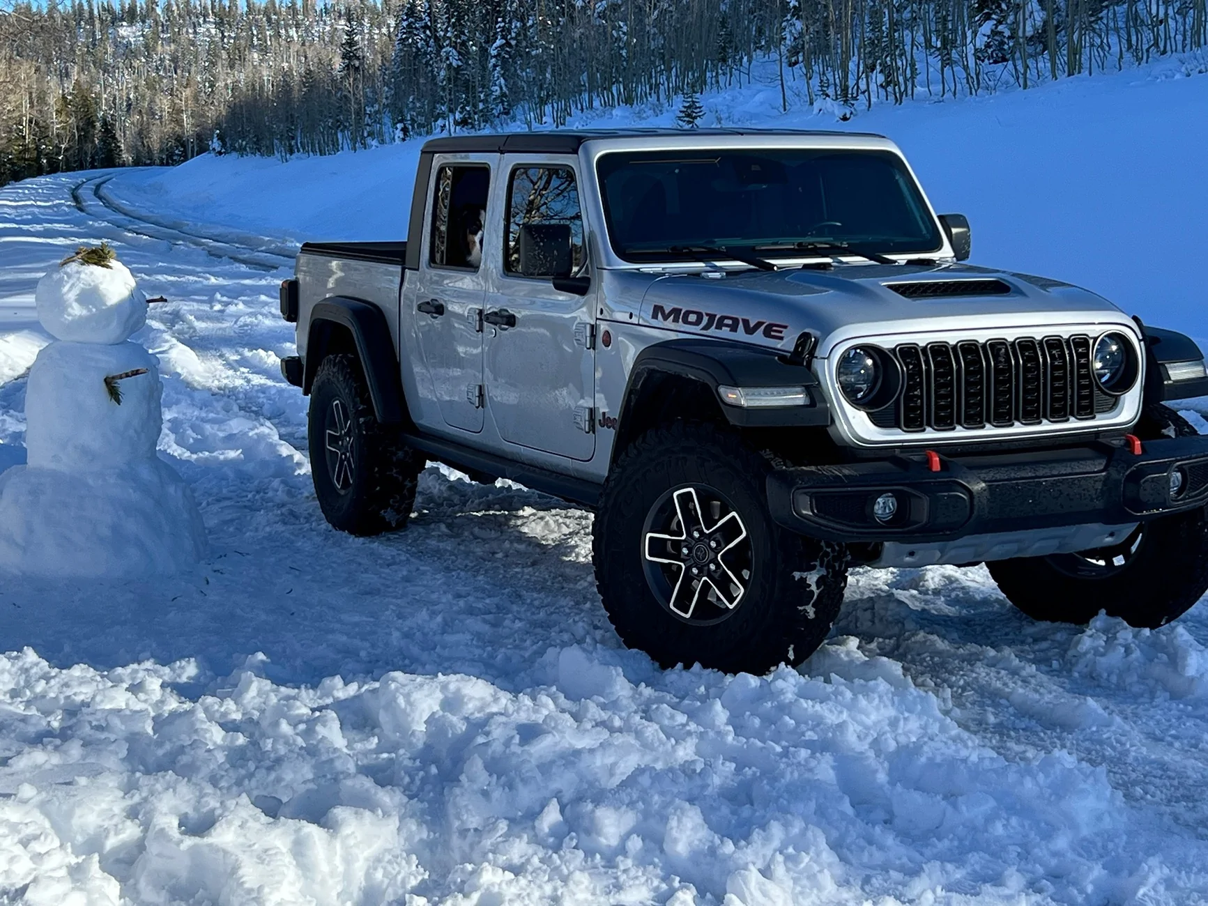Jeep Gladiator What did you do WITH your Gladiator today? IMG_5179
