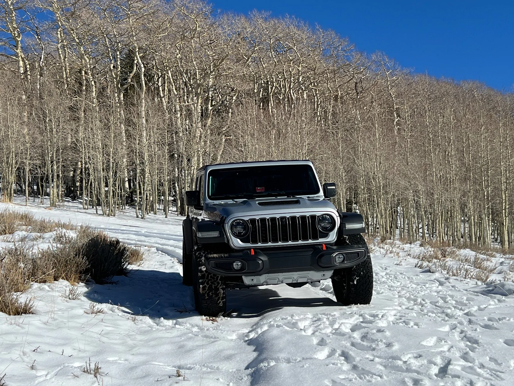 Jeep Gladiator What did you do WITH your Gladiator today? IMG_5158