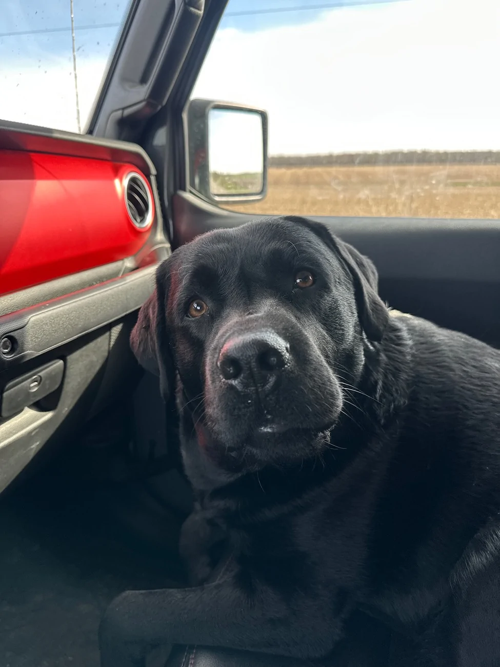 Jeep Gladiator Let’s see your pets cause they are the best companion you can have!!!!! IMG_7354