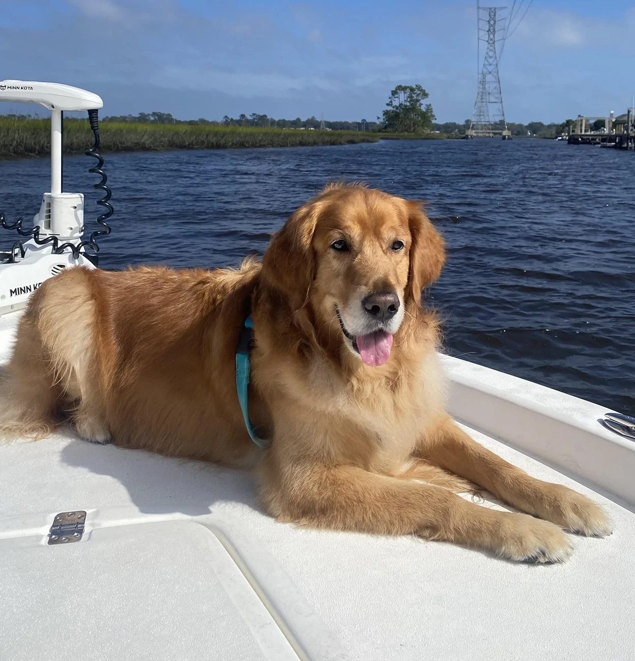 Jeep Gladiator Let’s see your pets cause they are the best companion you can have!!!!! Boone Boat