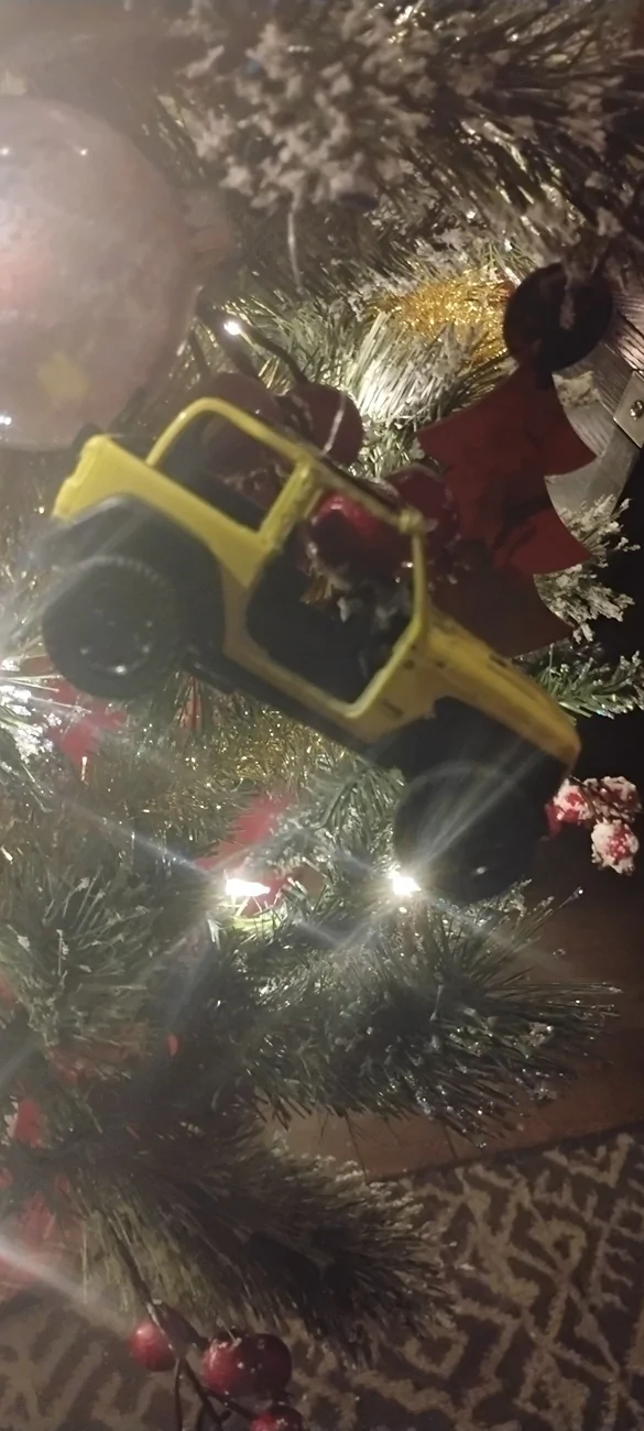 Jeep Gladiator new to the forum 1000013181