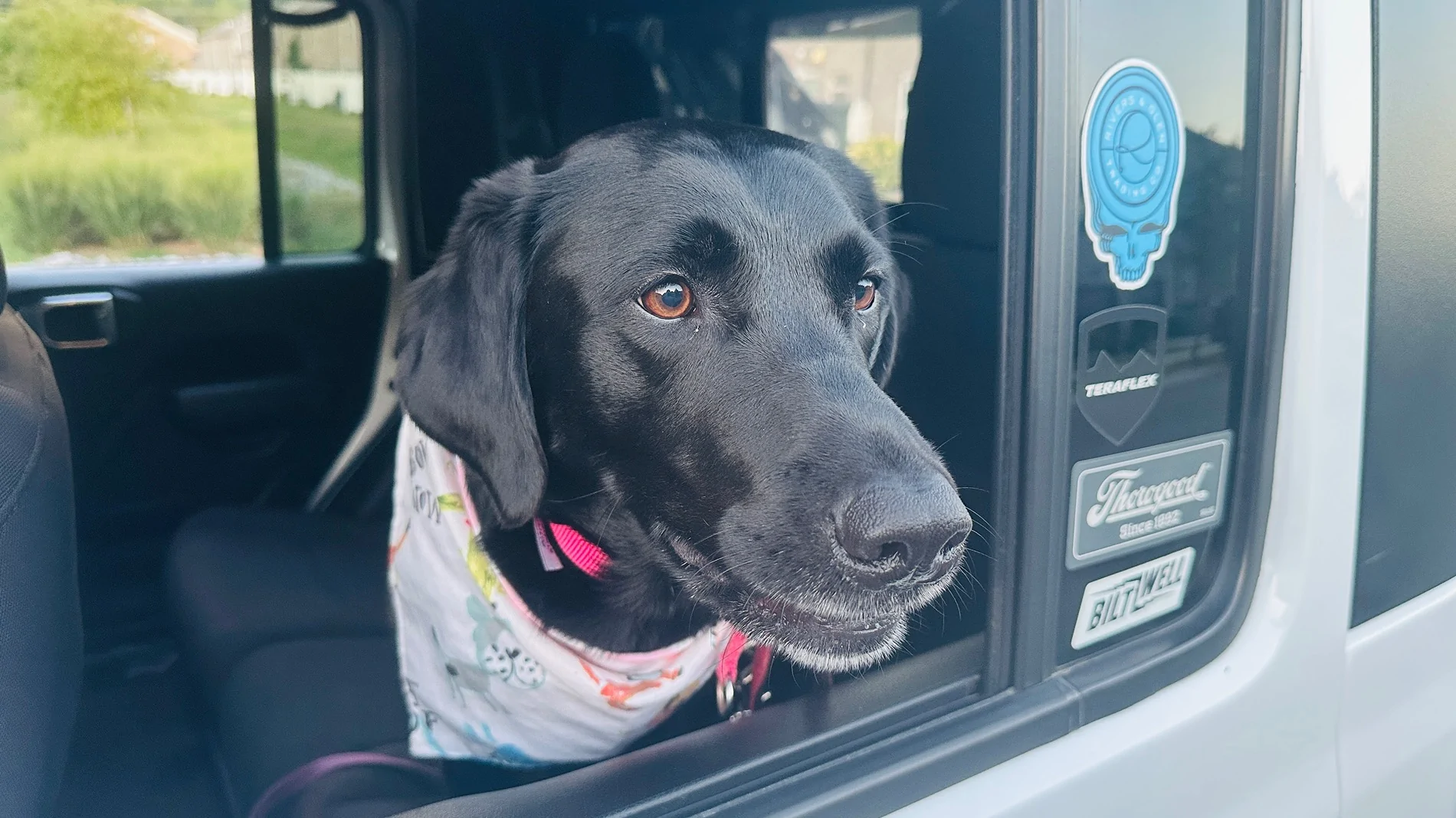Jeep Gladiator Let’s see your pets cause they are the best companion you can have!!!!! IMG_9661