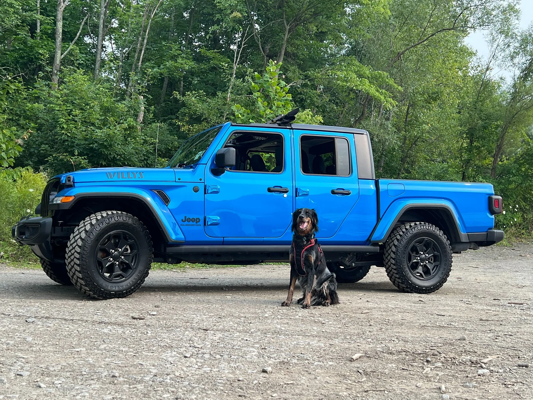 Jeep Gladiator Dilly's Willy Build/Log IMG_0622[1]