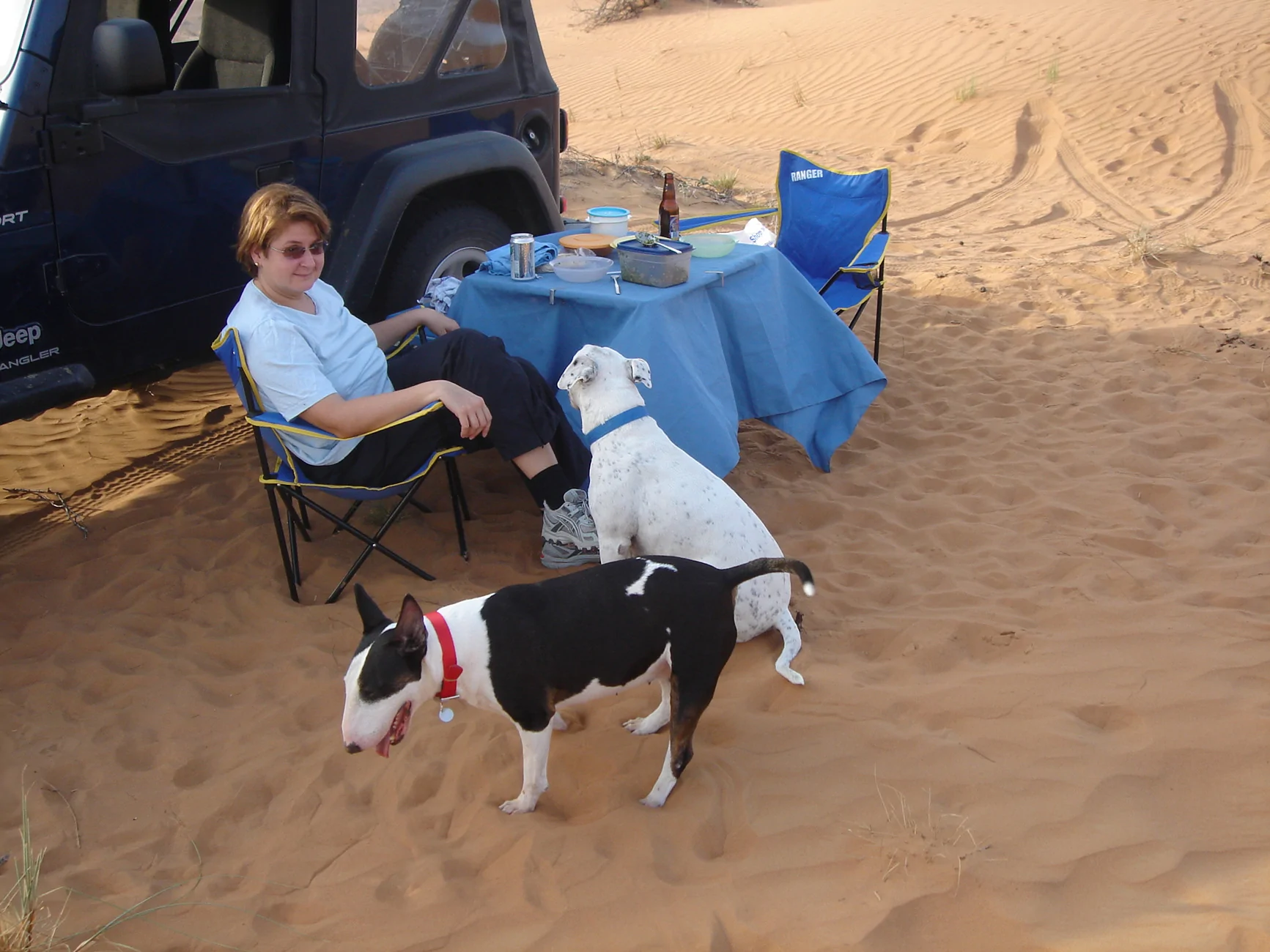 Jeep Gladiator Let’s see your pets cause they are the best companion you can have!!!!! DSC00192