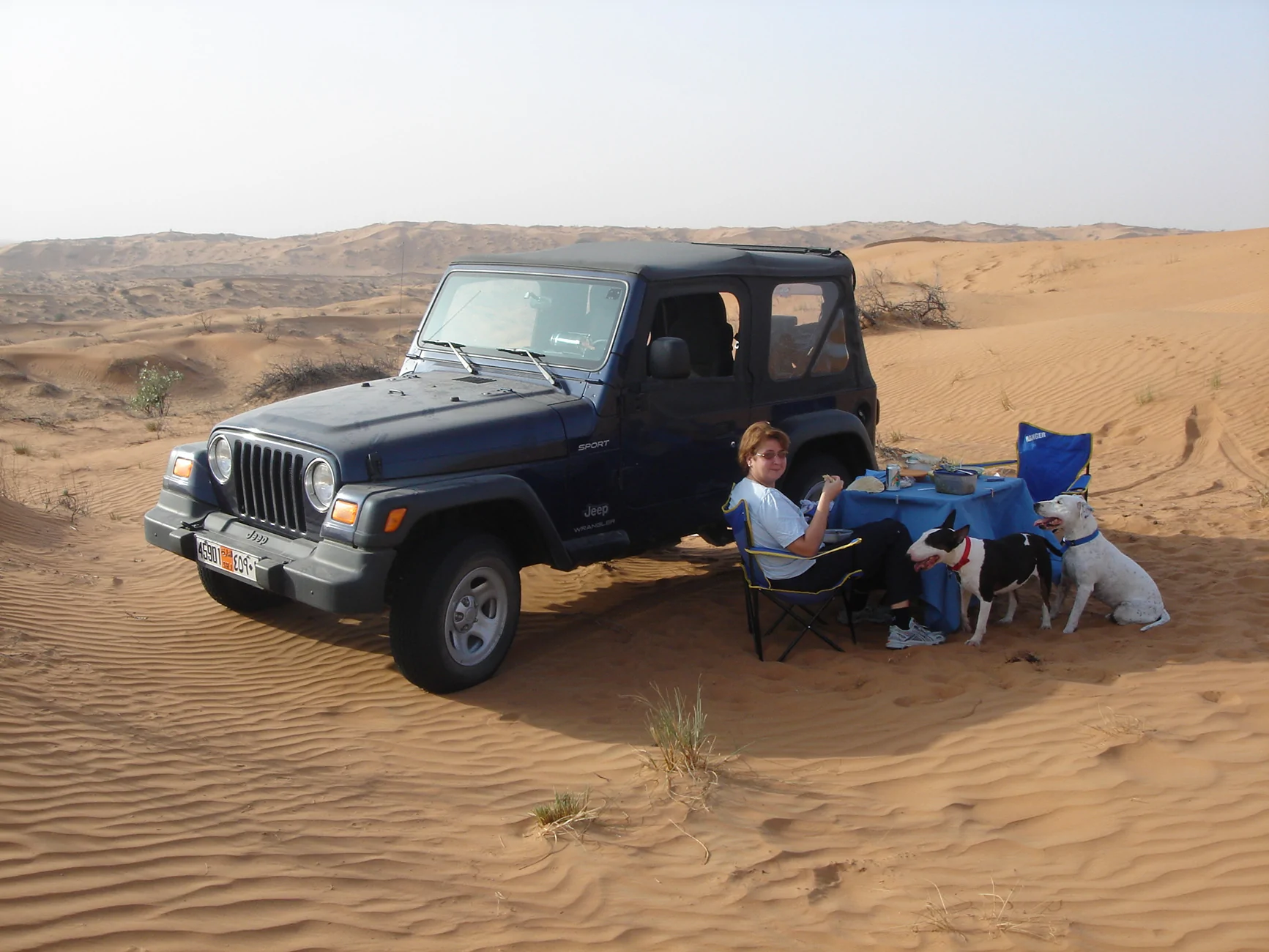 Jeep Gladiator Let’s see your pets cause they are the best companion you can have!!!!! DSC00185