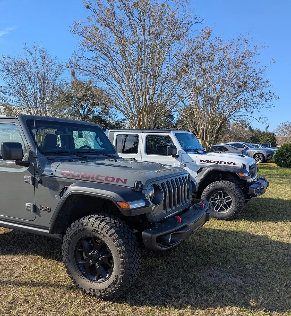 Jeep Gladiator Jeeps Parking Next To Jeeps 1