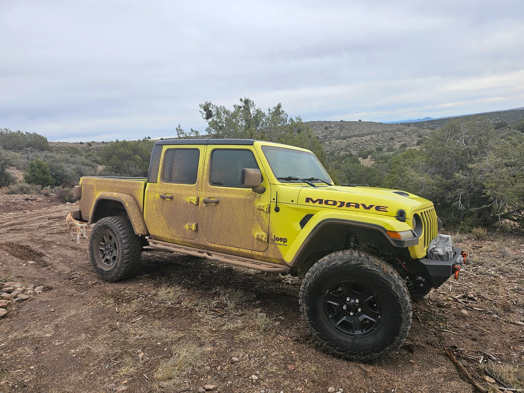 Jeep Gladiator Airing up tires on a cold day... 20251122_134726