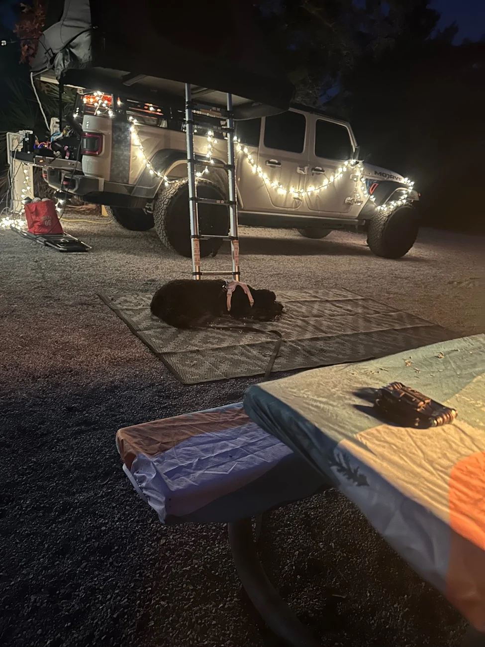 Jeep Gladiator Christmas 2025 Jeep Stuff - Post Your Gifts IMG_0377