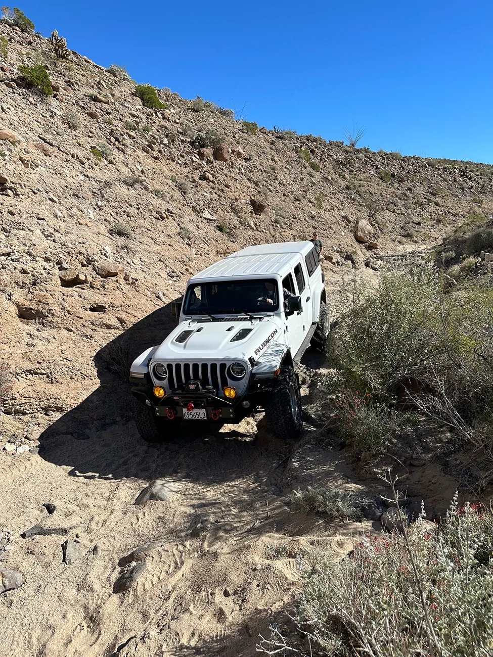 Jeep Gladiator Cool Daily Random JT Gladiator Pics -- Post Em! 📸 IMG_6884