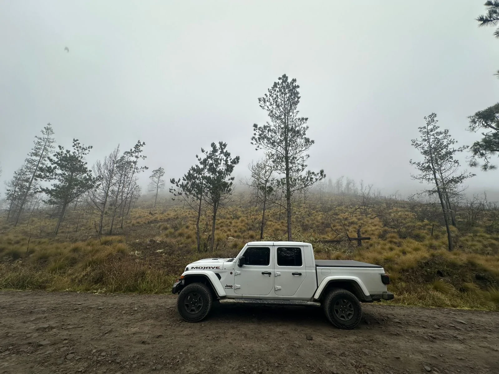 Jeep Gladiator Cool Daily Random JT Gladiator Pics -- Post Em! 📸 e01d7c78-e6a8-4b05-a3df-64d4524c8772