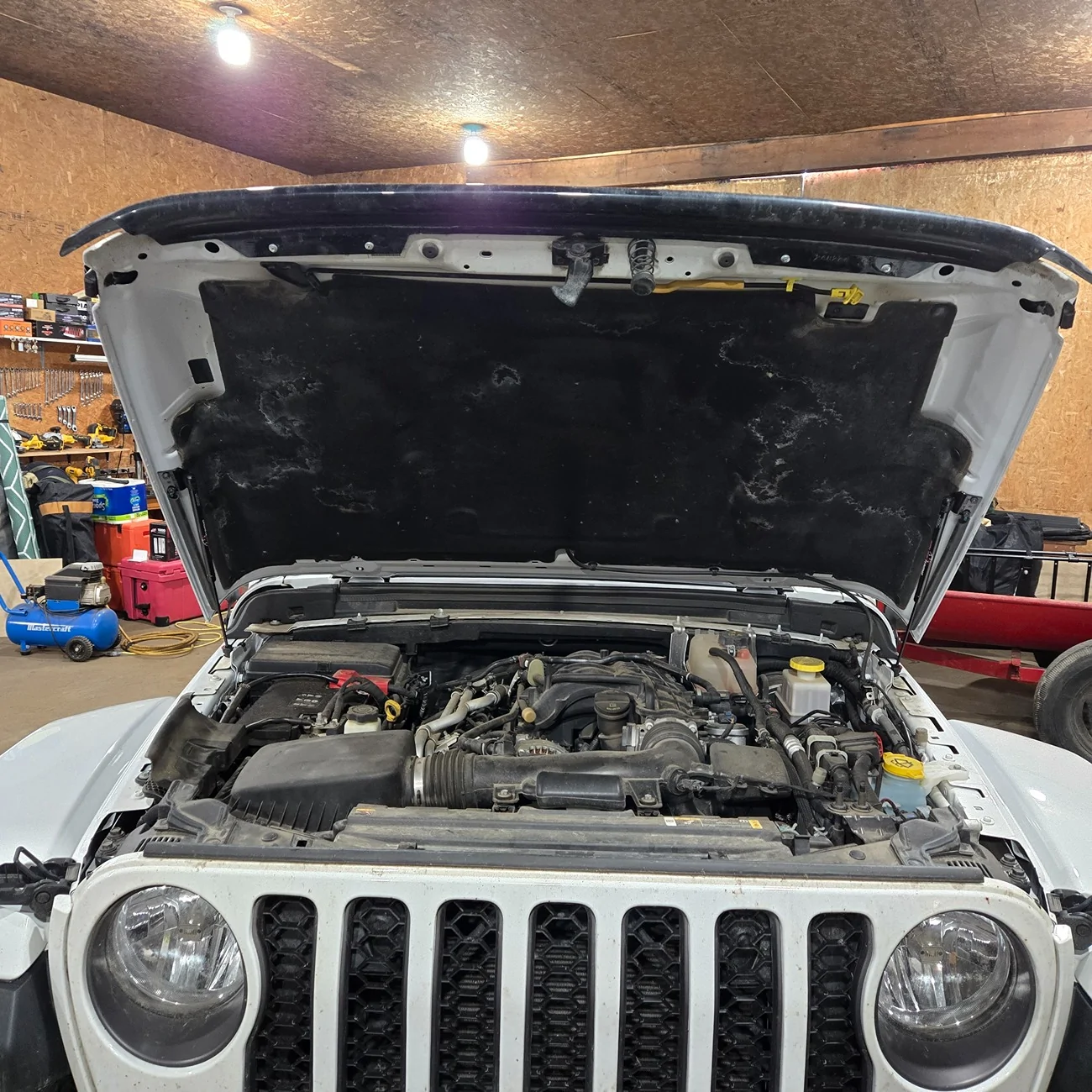 Jeep Gladiator ❗Tecbaba New Product | Hood Lift Supports Struts | 20%OFF | Promocode:YSLXLF54 20251104_113336