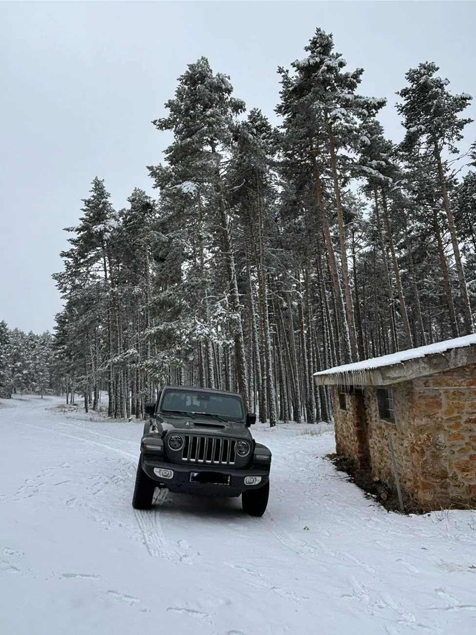 Jeep Gladiator Introductions & Welcome Thread 👋 Foto Jeep Gladiator