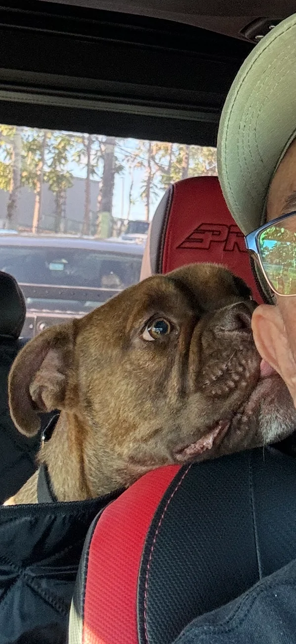 Jeep Gladiator Let’s see your pets cause they are the best companion you can have!!!!! IMG_1712