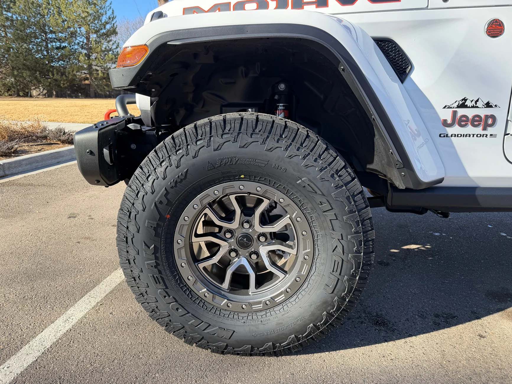 Jeep Gladiator Dilemna on tires… IMG_2999